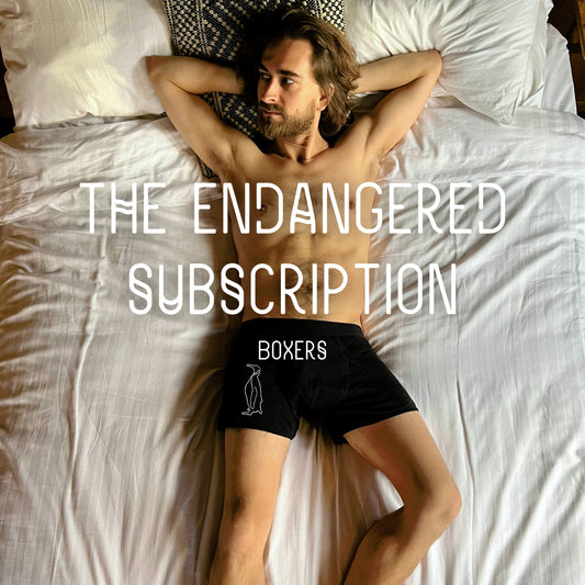 ENDANGERED boxerS SubScription